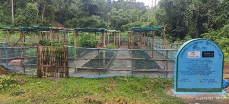 H:\Ganipara 8th Oct 2021\Inspection picture on 16th Sep 2021\Nursery at Chigitchak Chisim as on 21st Sep 2021.jpg